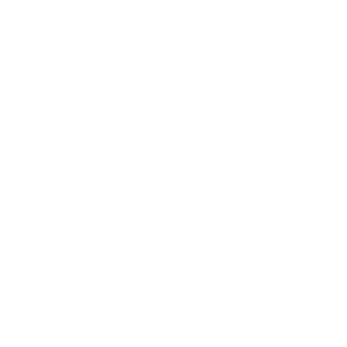 DSP+